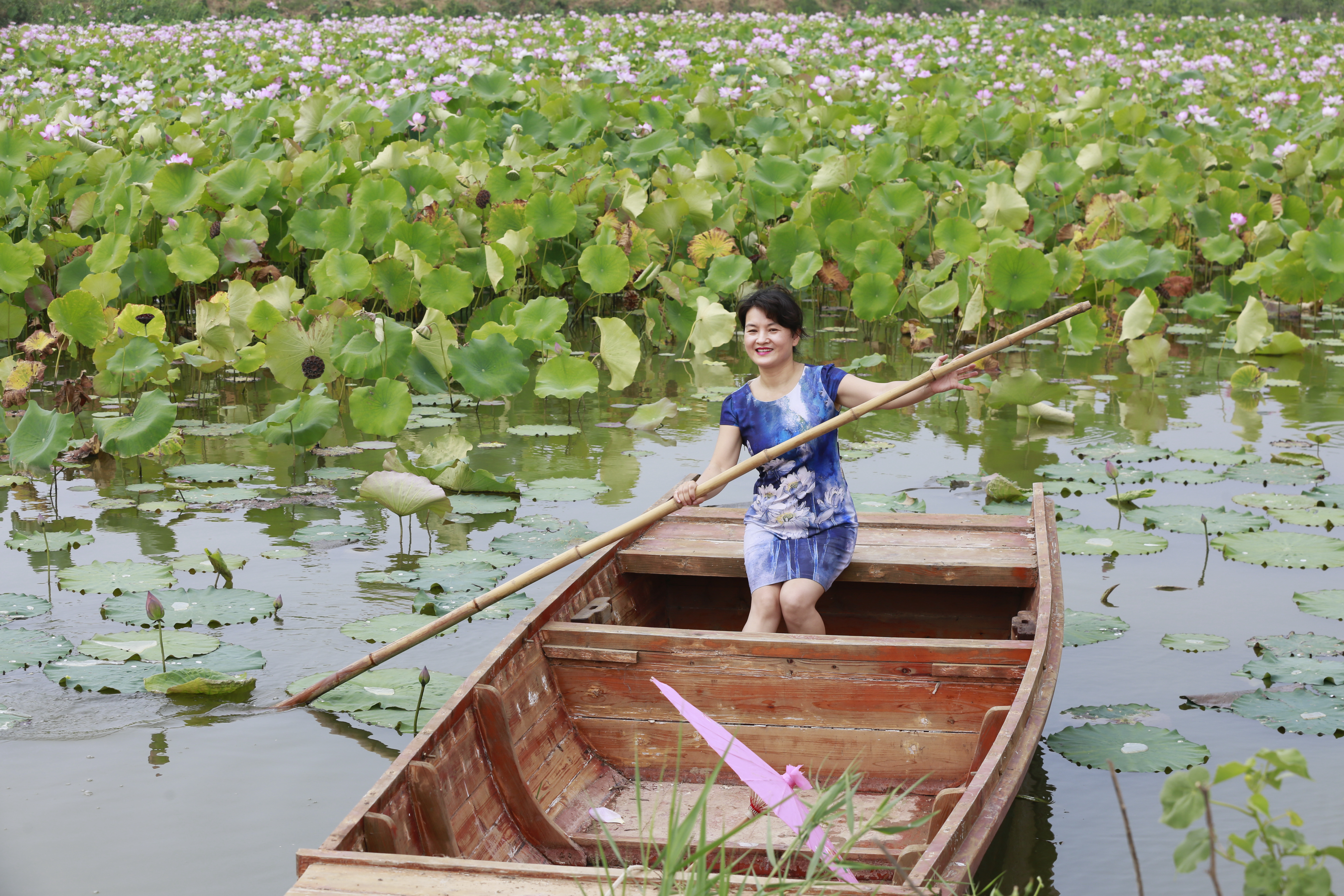 荷塘弄舟采莲女荷叶荷裙相映色