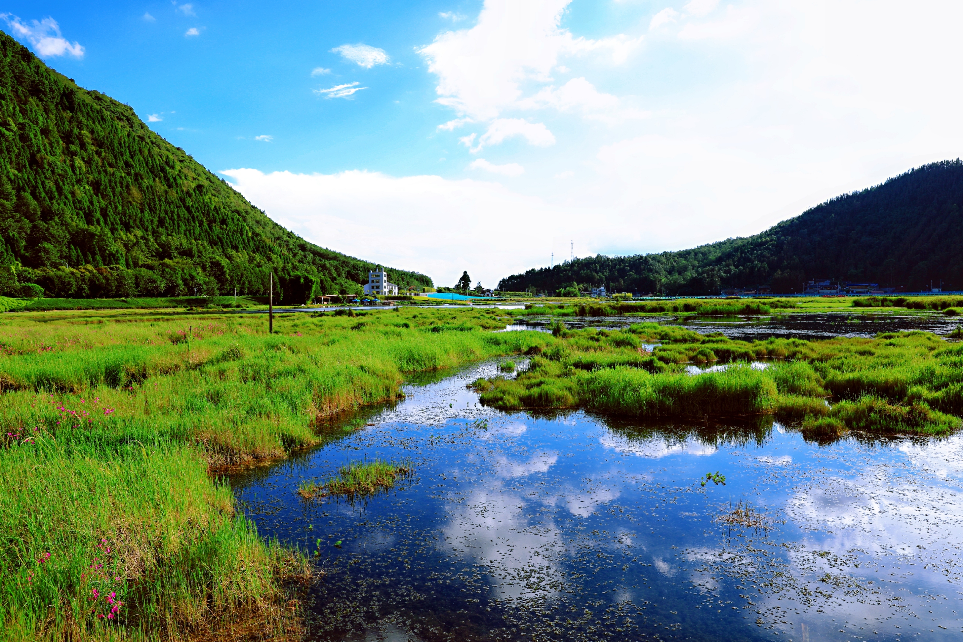云南腾冲湿地风光