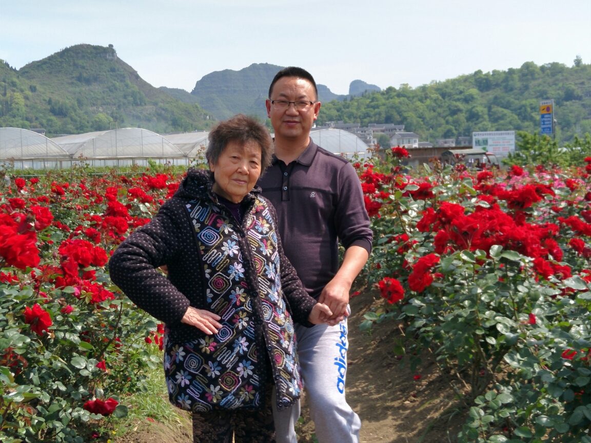 父母恩情似海深,人生莫忘父母恩!百善孝为先.