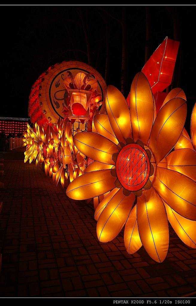 祝32266部队的战友们元宵节快乐!