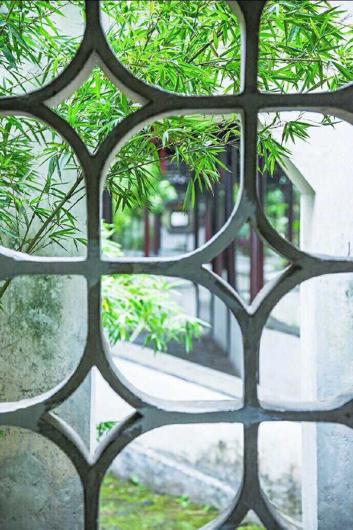 窗竹清影【原创首发】