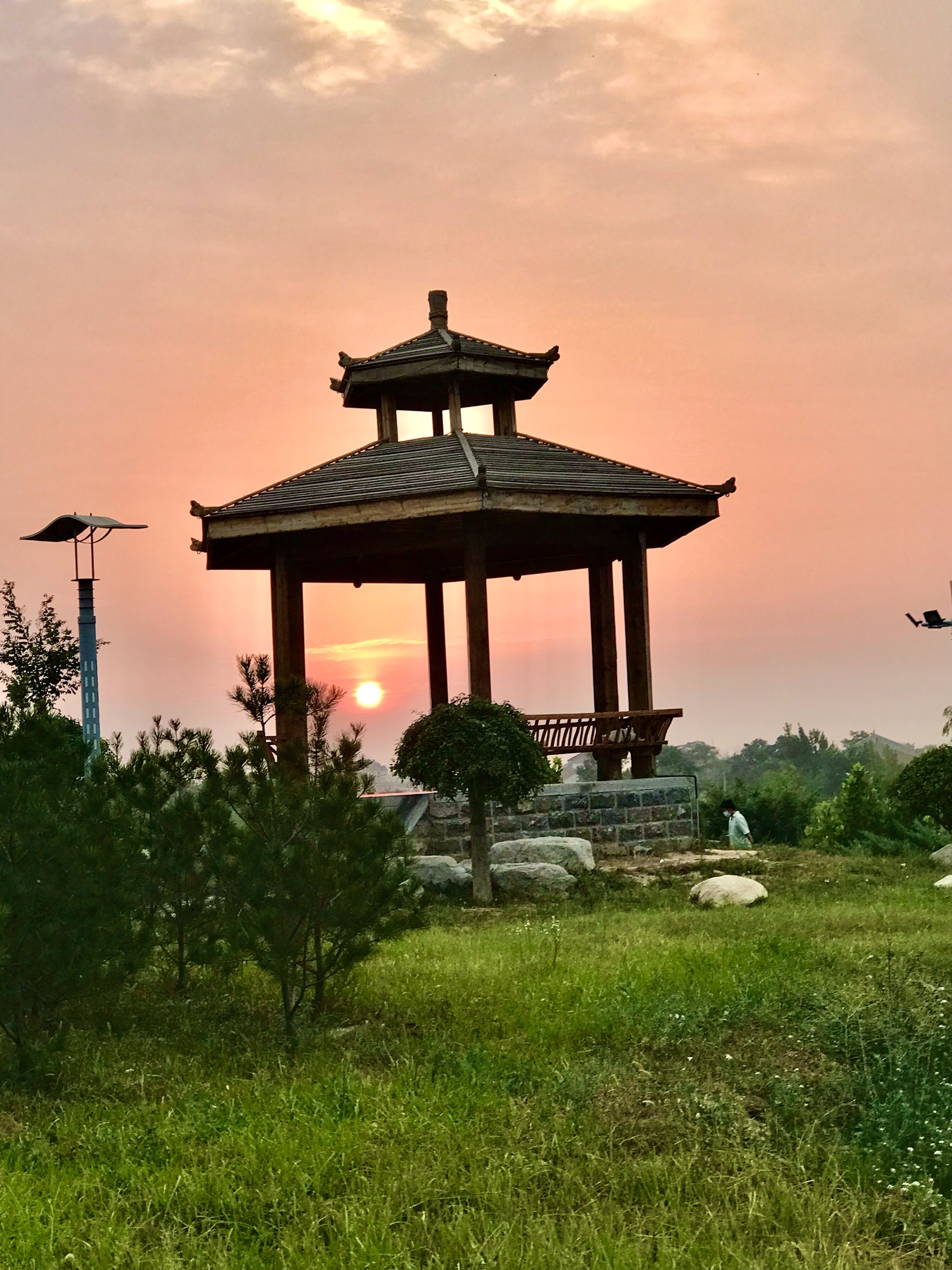 民悦公园早霞普照(手机摄影)