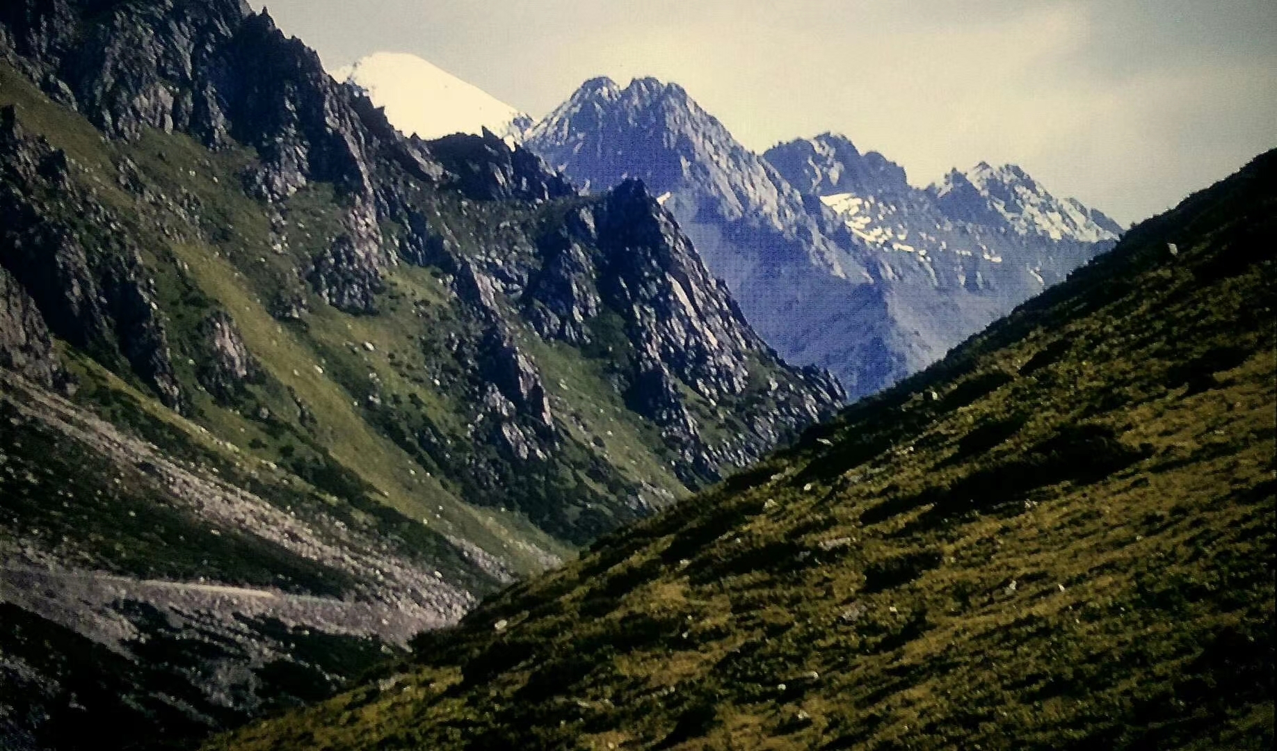 走进西天山