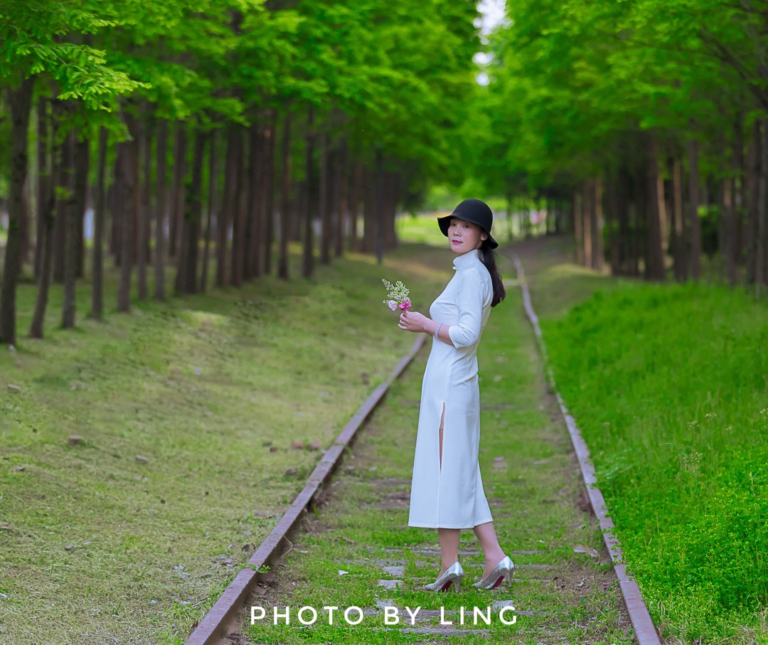 何日君回来 简介图片