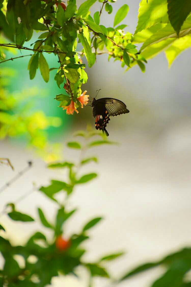 讓平凡的每一天都充滿美好,讓明天永遠充滿期待.