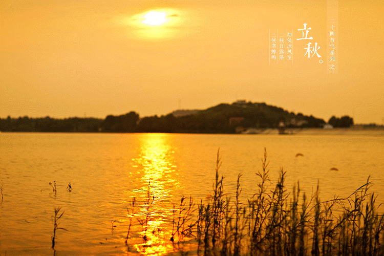 立秋啦