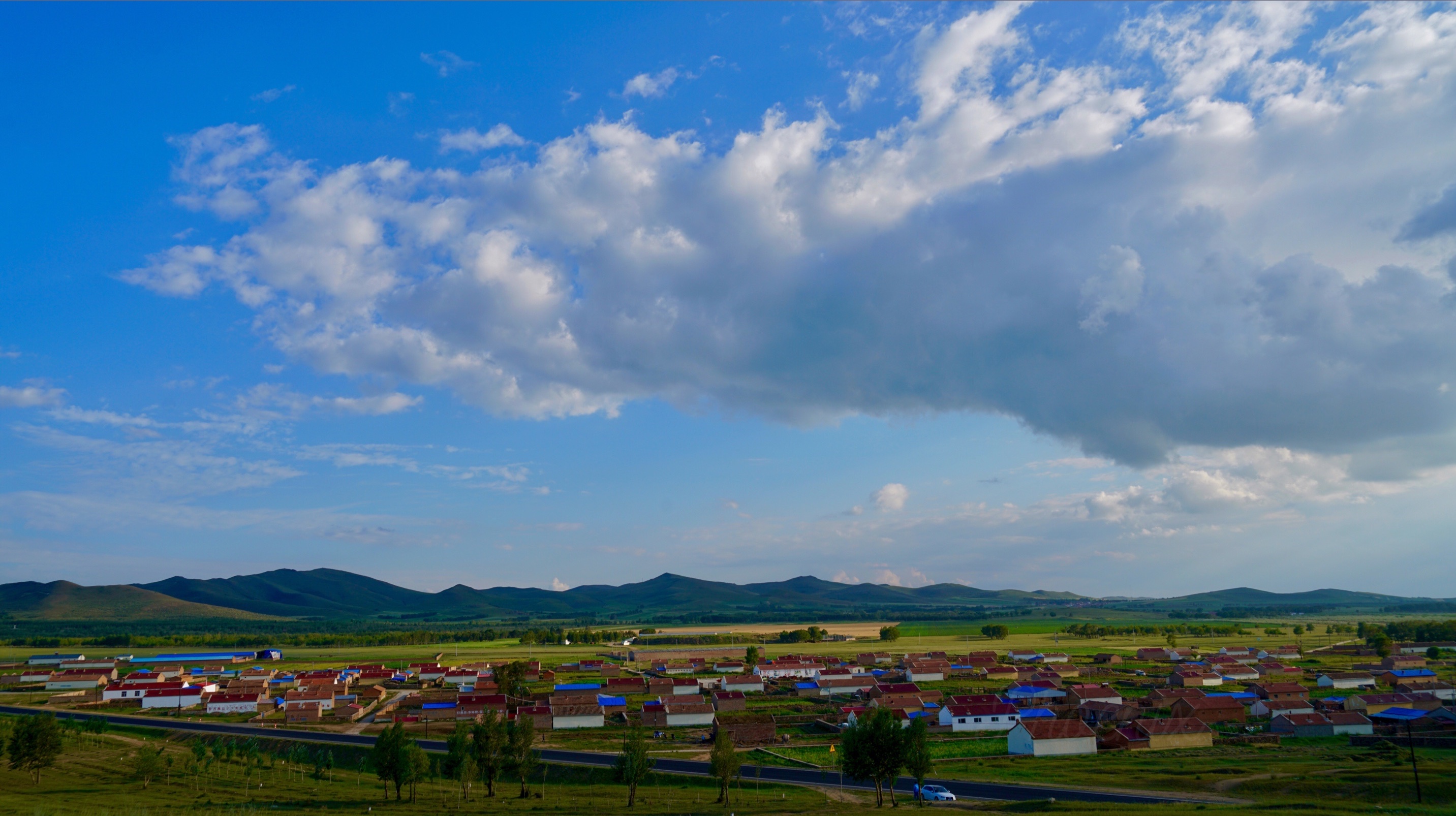 【内蒙草原】[首发]退耕还林还草示范村.太仆寺旗干地村