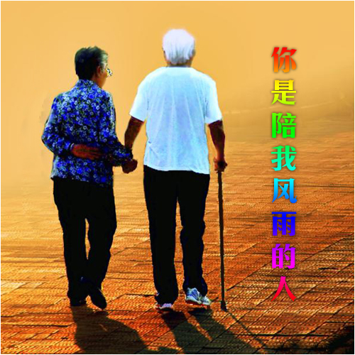 你是陪我风雨的人