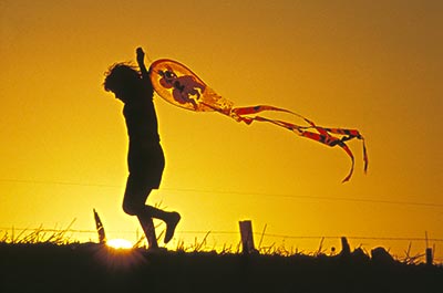 追风筝的人故事概述