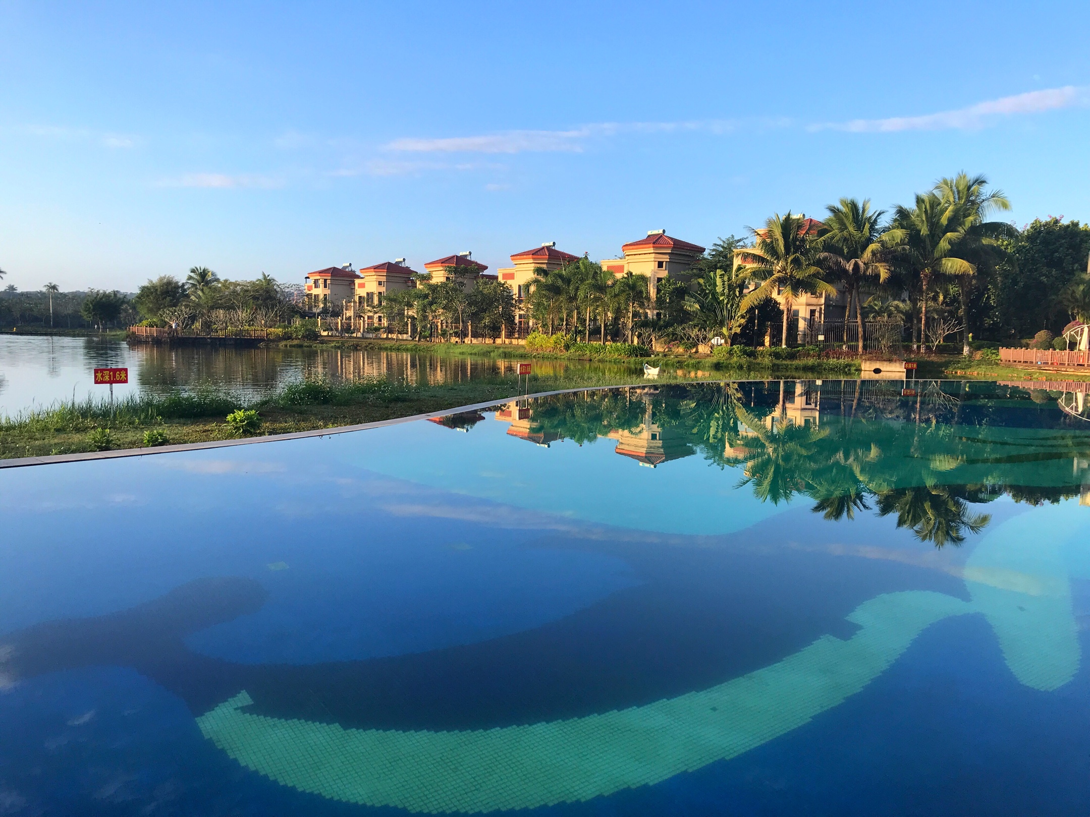 山湖海的早晨(手机摄影)