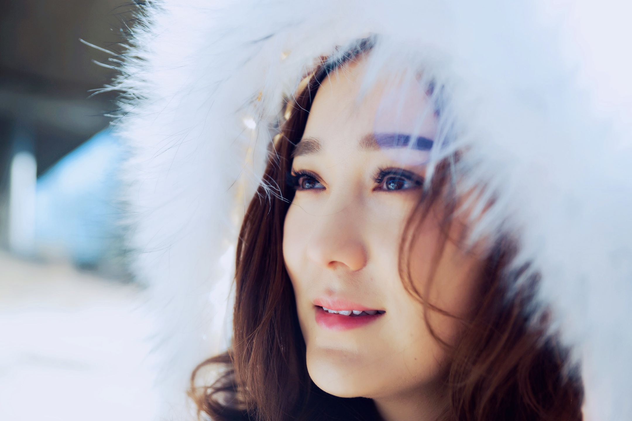 龙梅子《记忆里的雪》:消逝的,其实都已铭刻