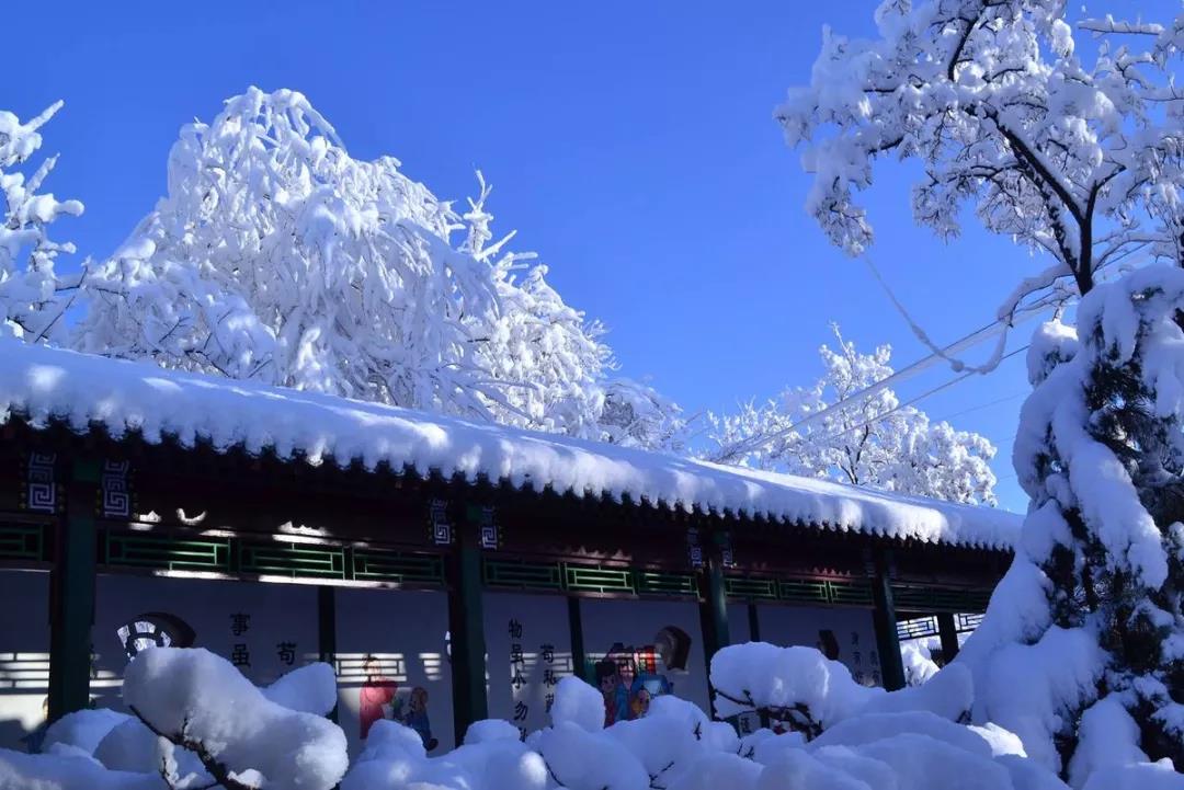 北京下雪了