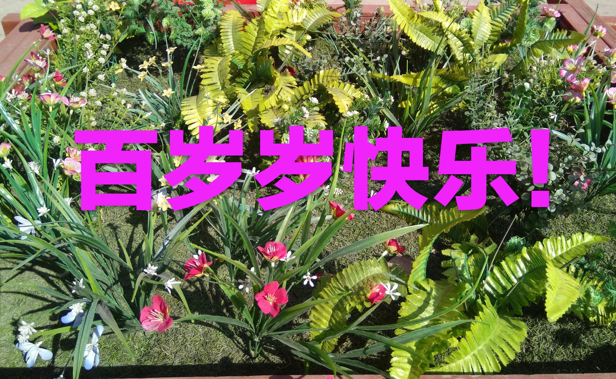 恭贺贺梓煜宝宝百岁岁快乐!