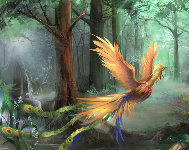 凤凰涅磐我的人生之路