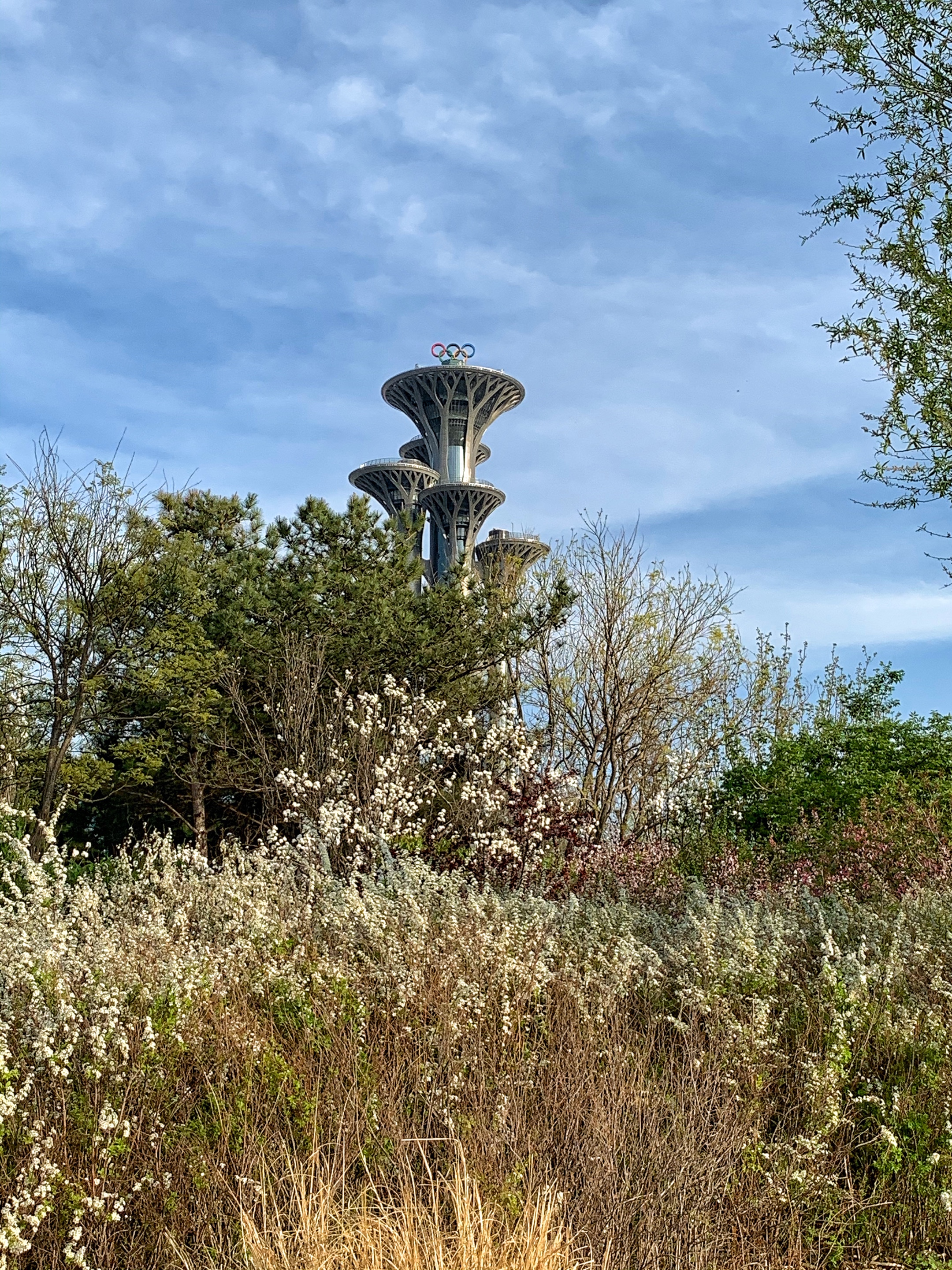 奥森公园观光塔图片