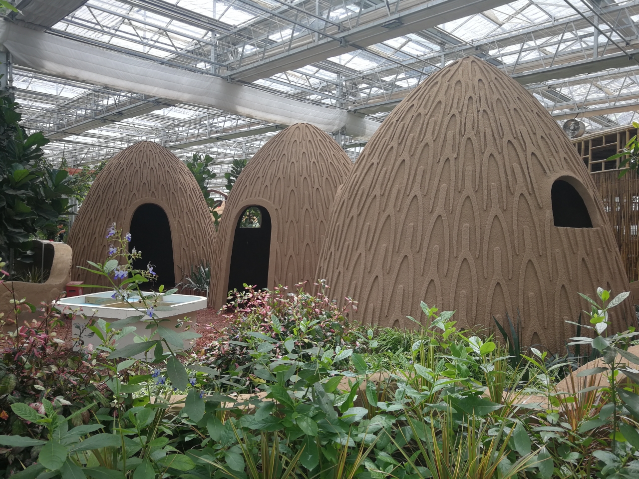 访北魏鹿苑,探农业嘉年华.