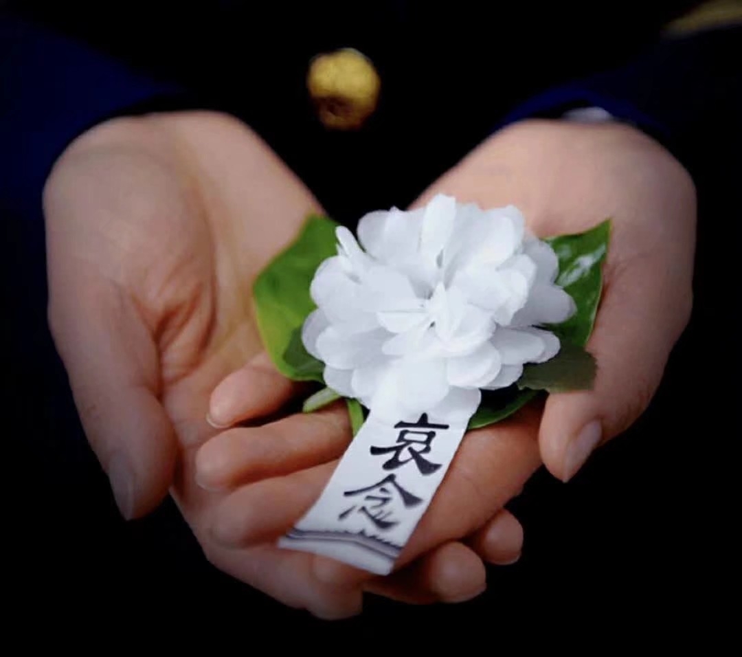 【公益之声】特刊一清明时节寄哀思