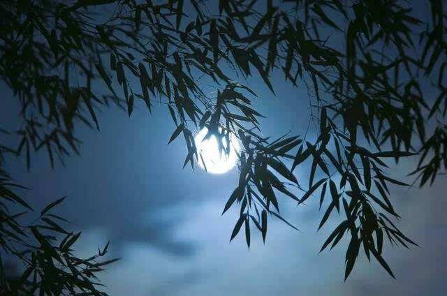 素平:月光下的中国 - vv