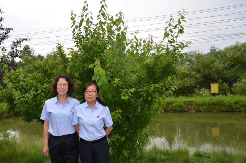 我想握着你的手;作者;林德福;诵读;王丽晨