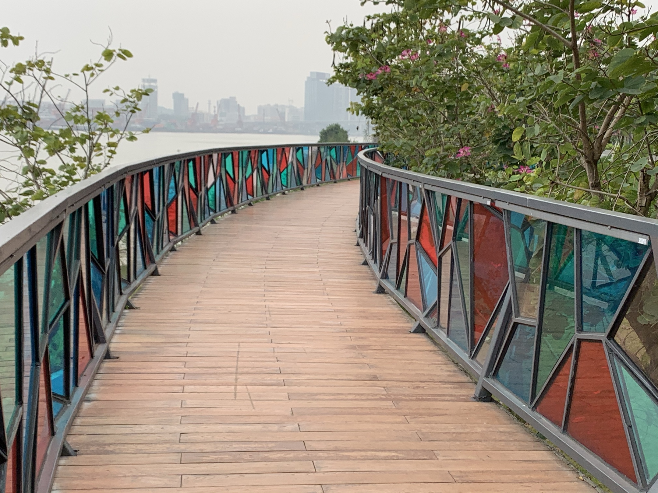 顺德中轴线公园—金凤凰