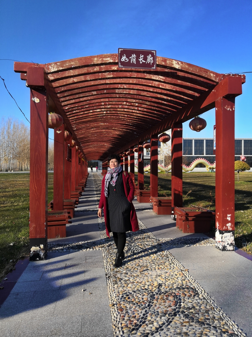 美丽绥滨植物园