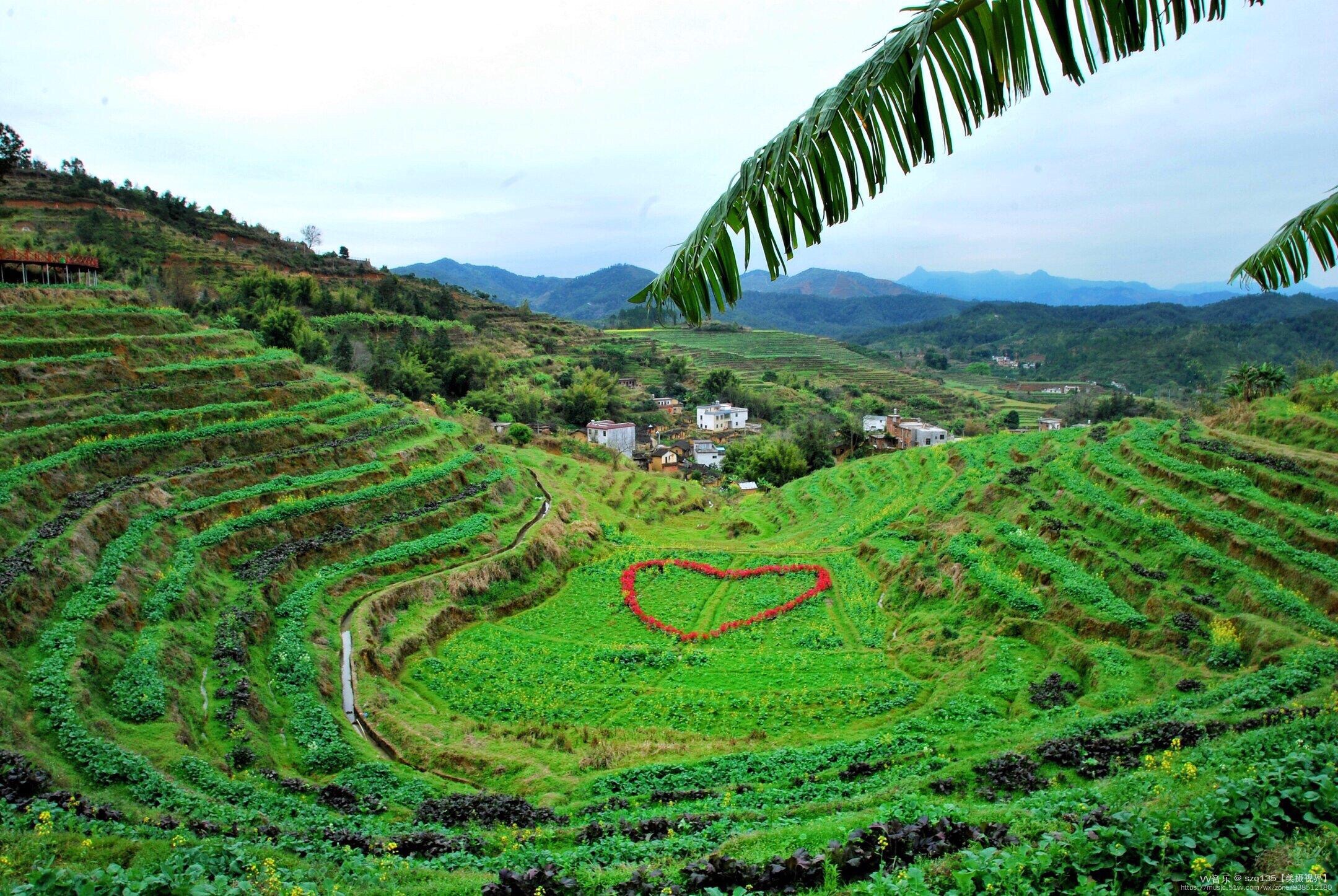 梅州坪山梯田(首发)