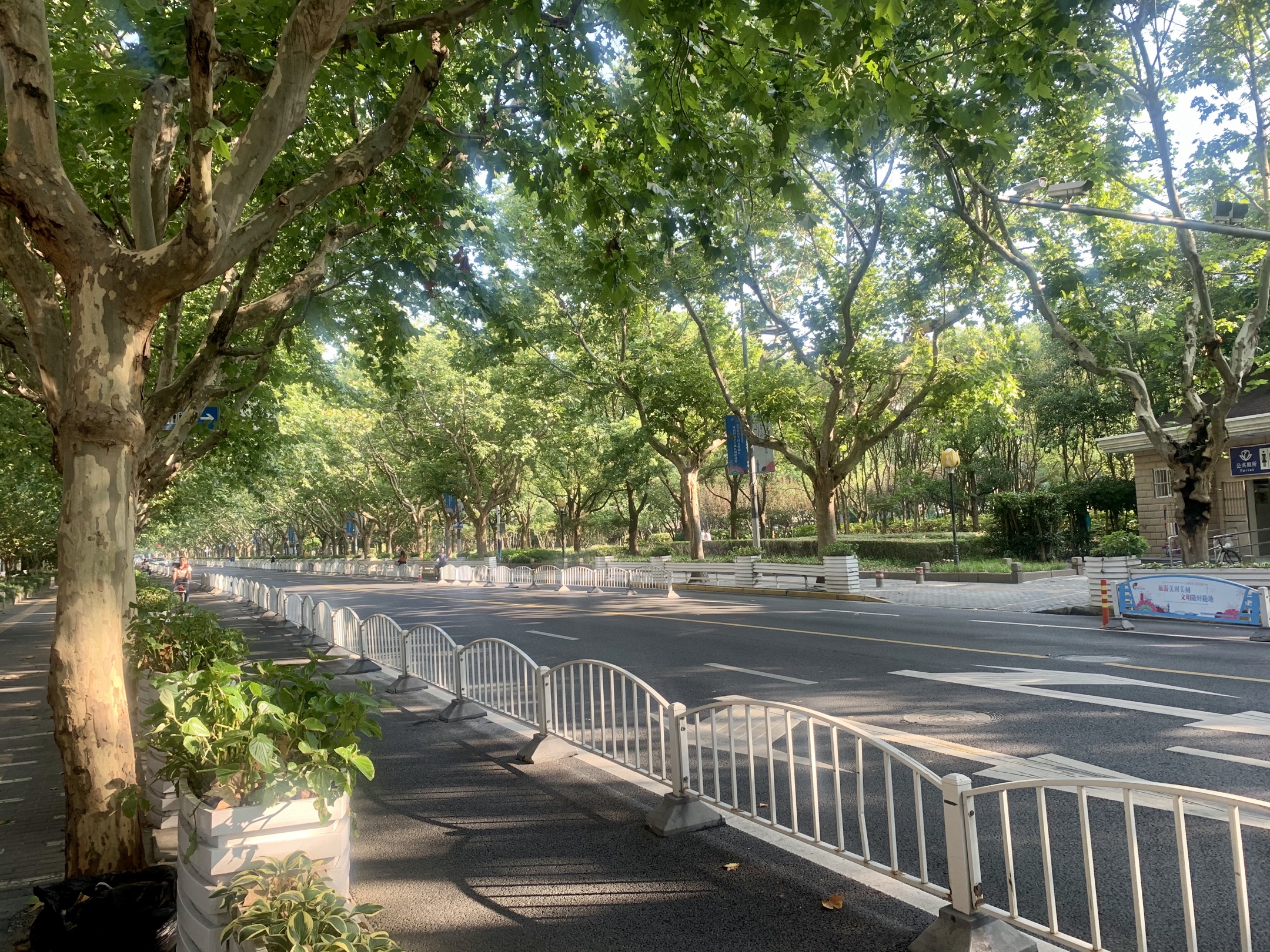 地平线·清晨漫步 2020.08.23