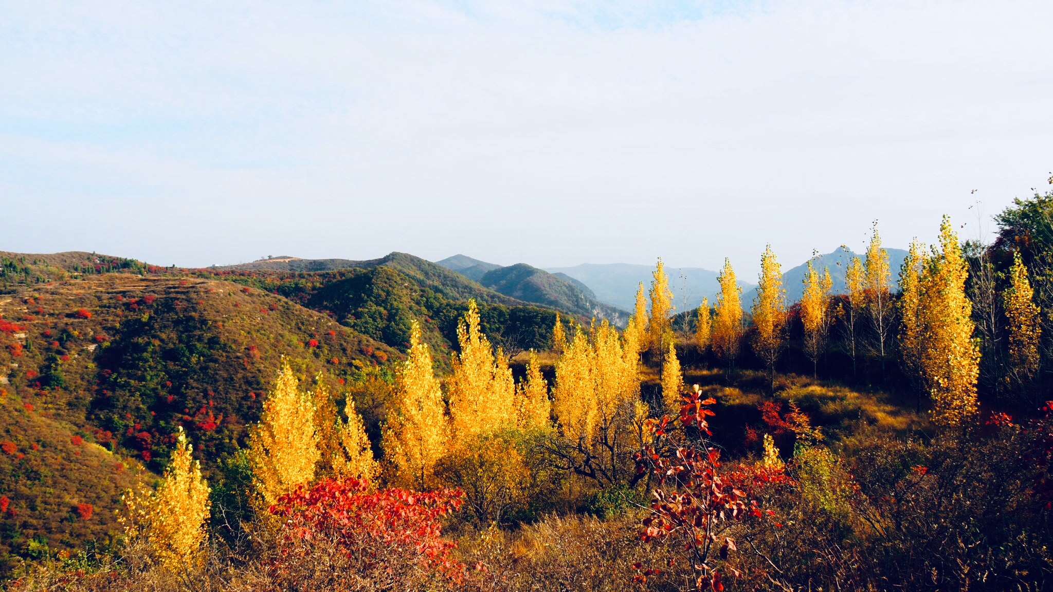 巩义市青龙山五彩秋景