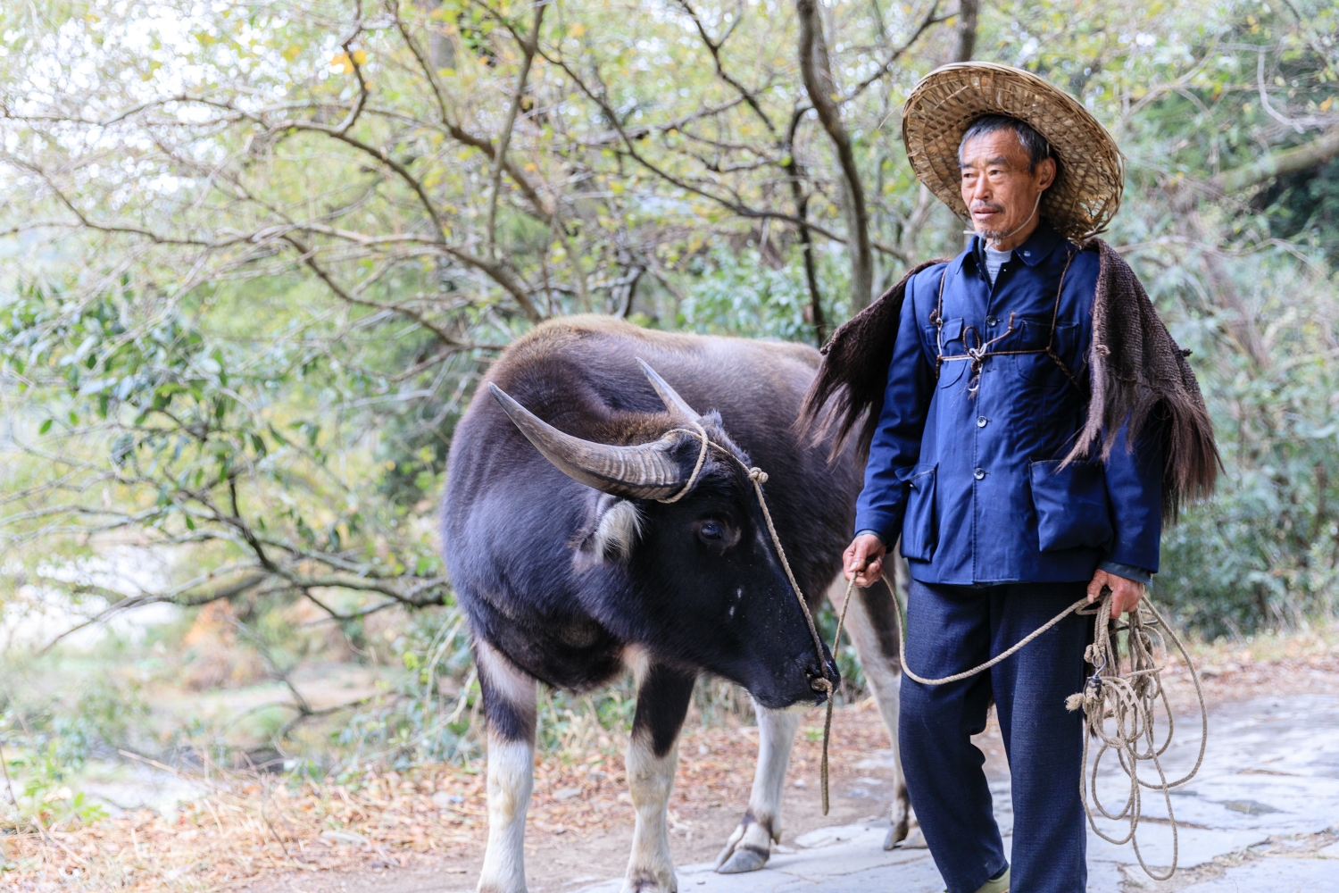 徽州摄影旅游记