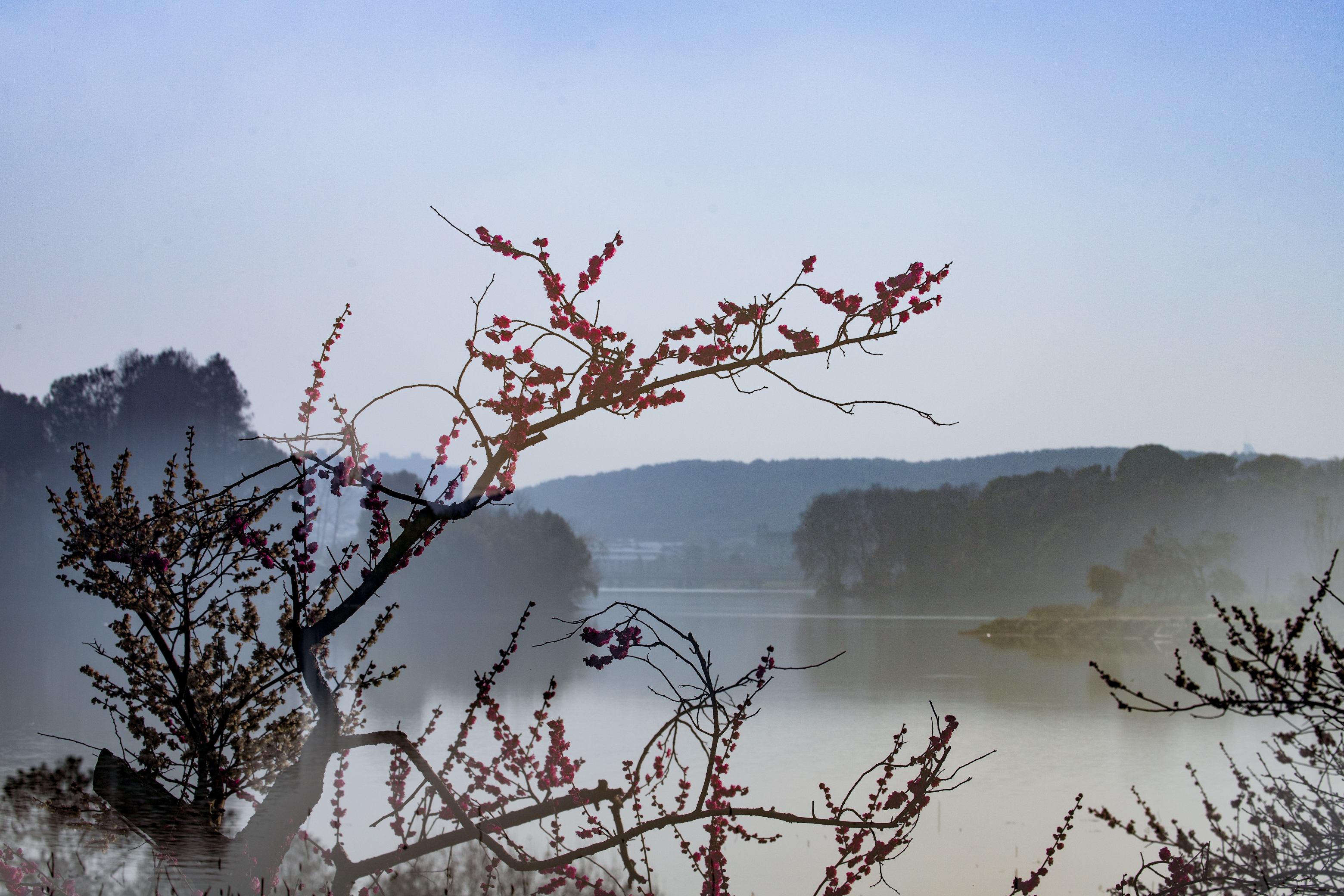 第29期美于斯摄影俱乐部优秀摄影作品专辑