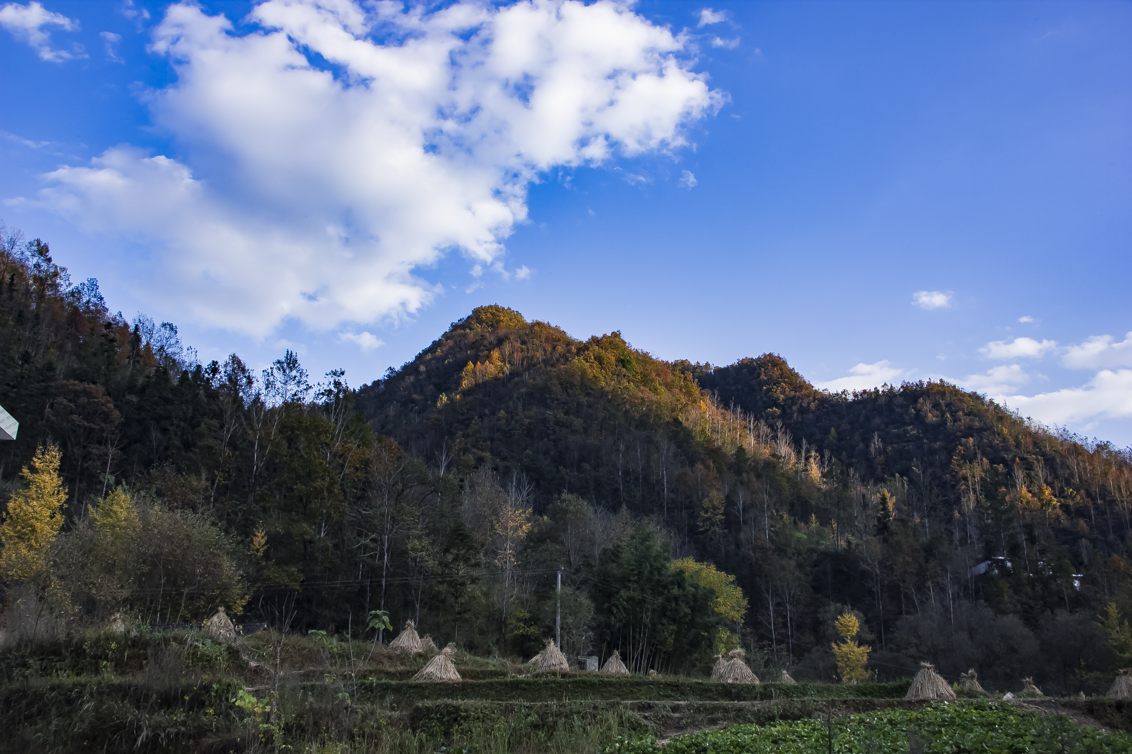 茅坪秋色也迷人