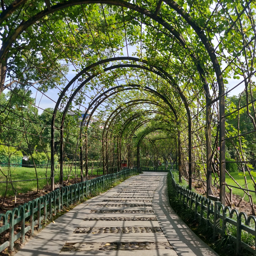 杭州大关公园一瞥