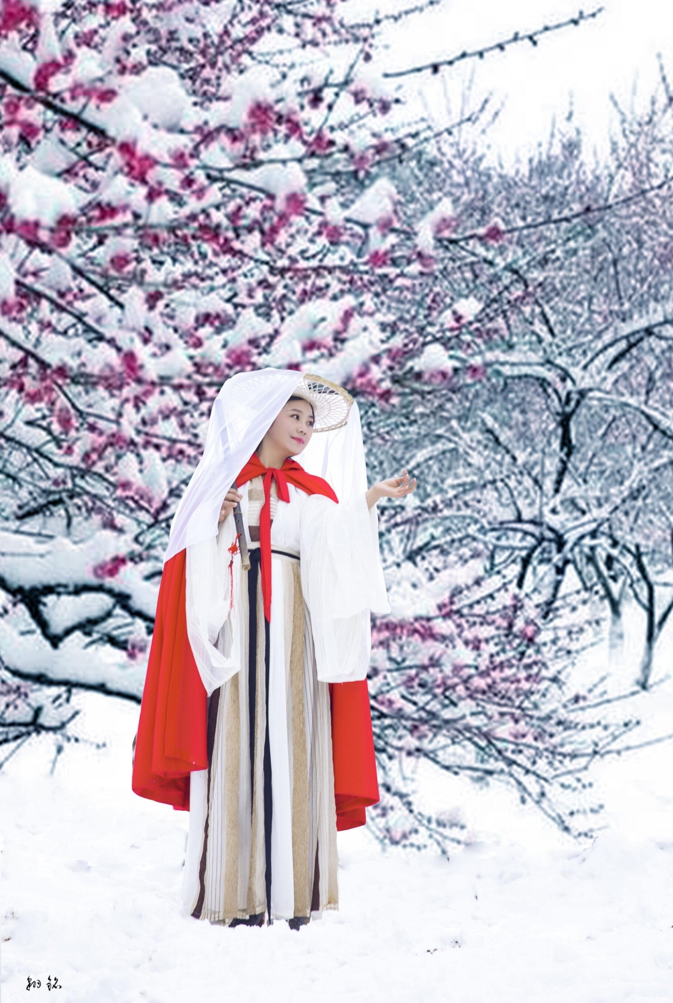 【首发】踏雪寻梅