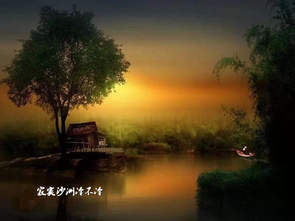 寂寞沙洲冷不冷作者边行