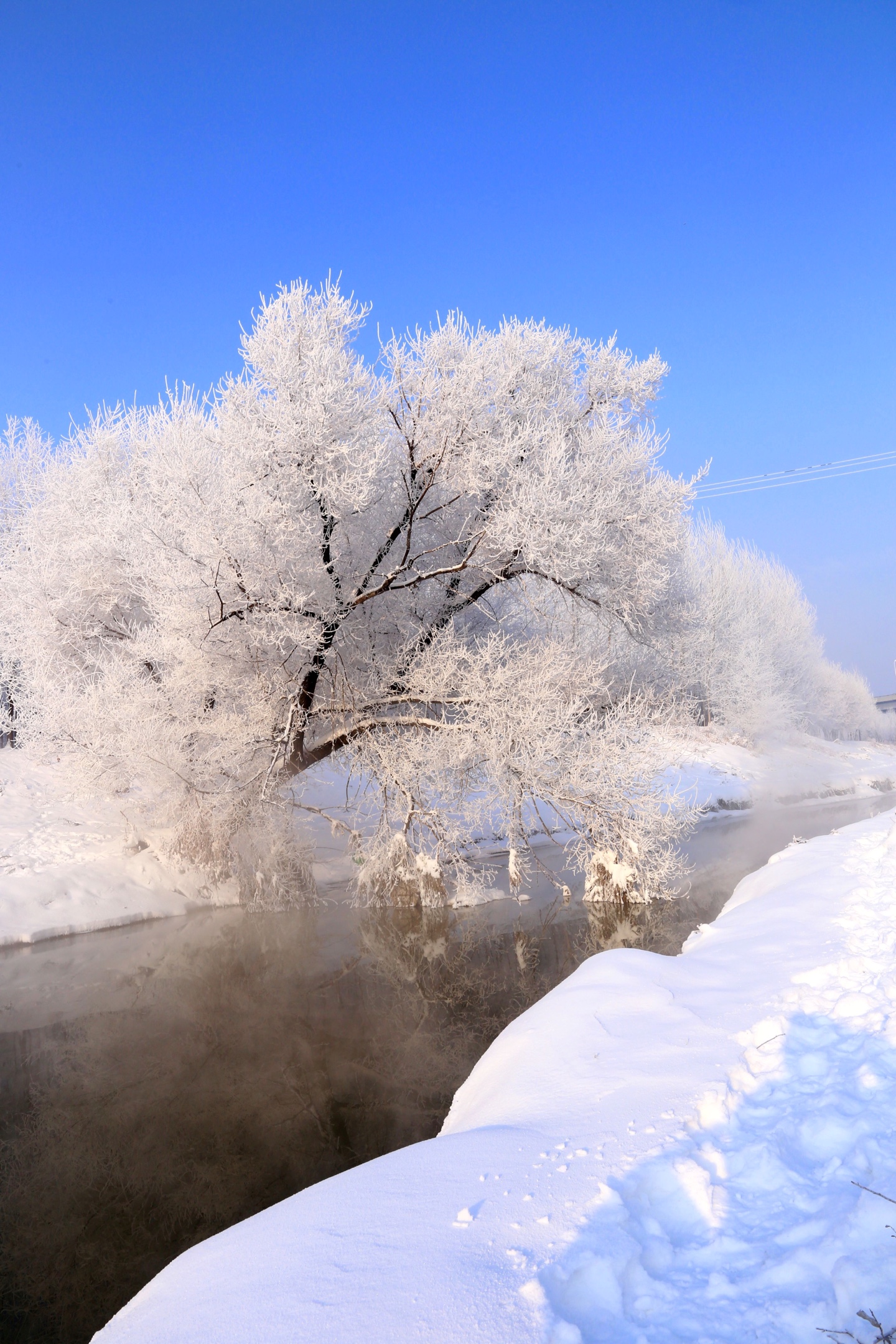 马家沟河现雾淞,冰城冬月添美景.