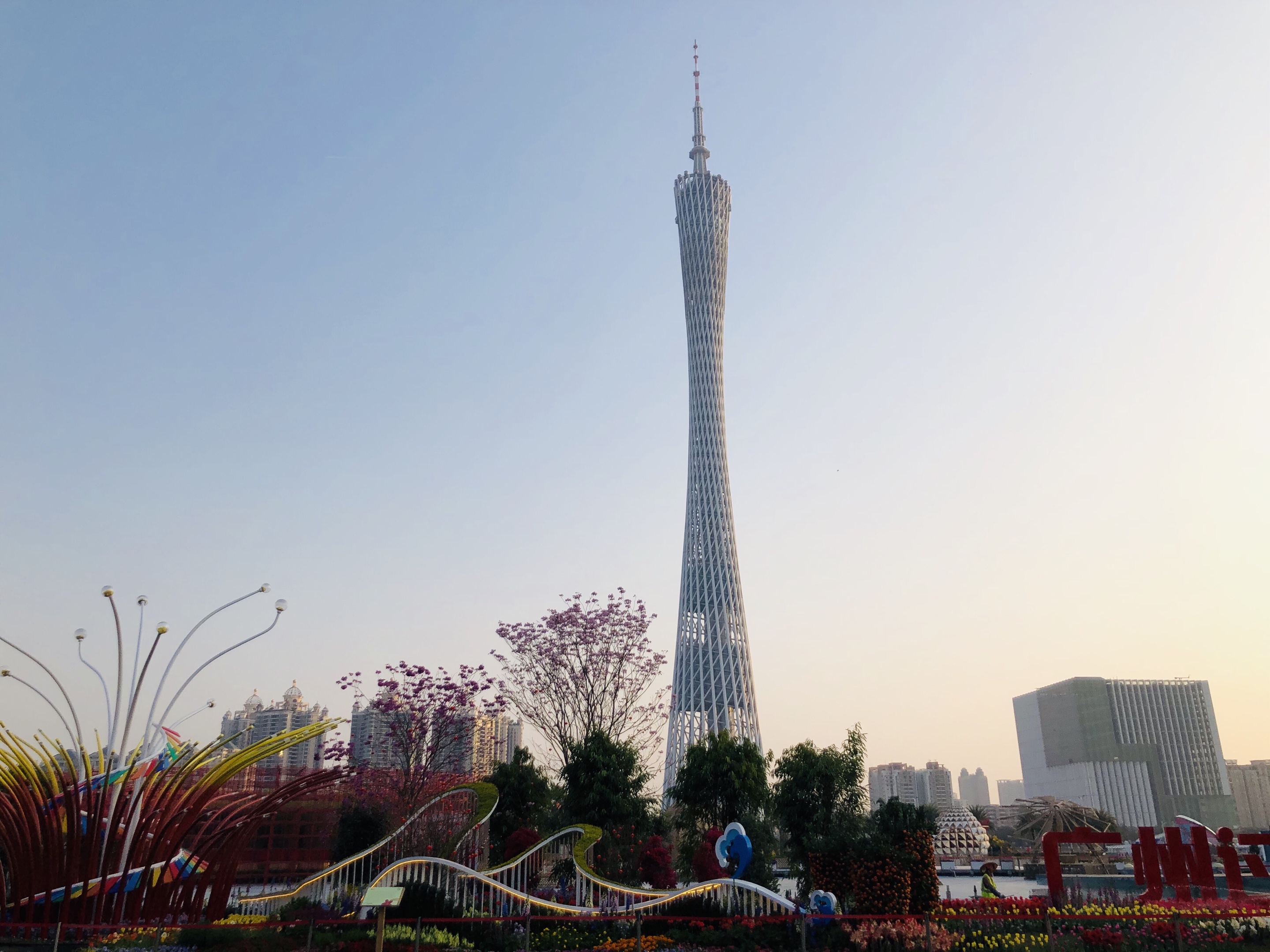 广州过年花城看花