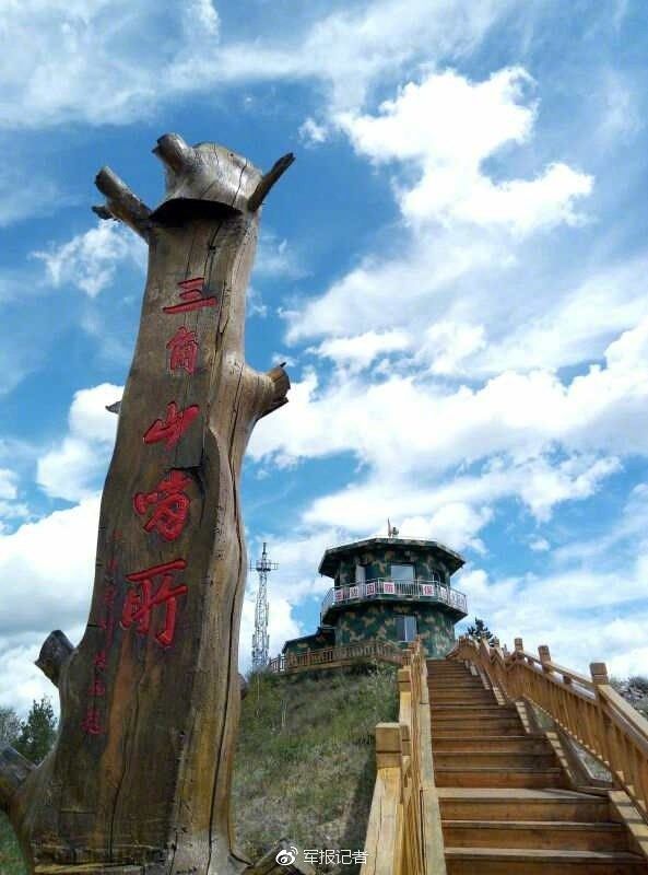 哨所相思树
