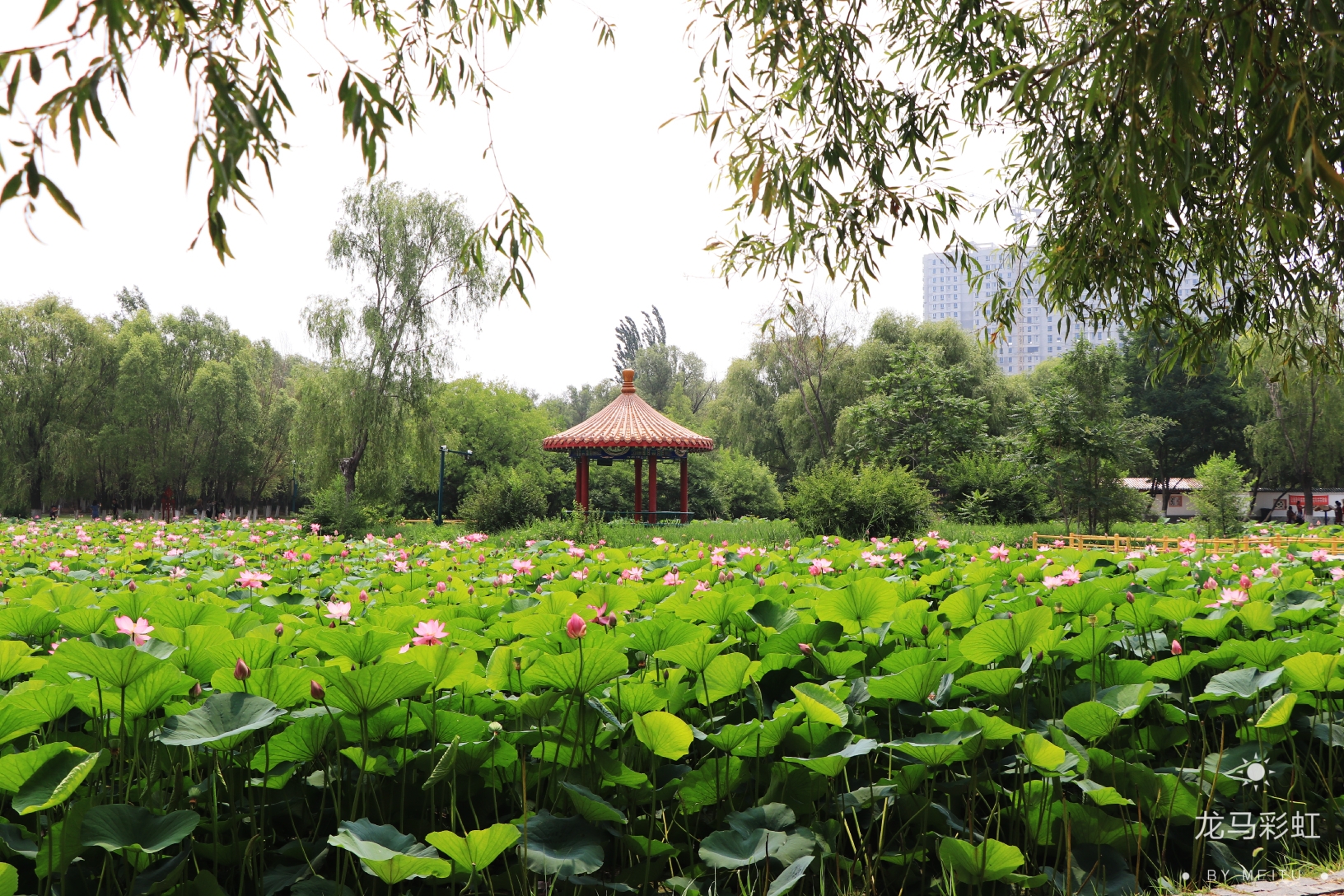 盤錦湖濱公園