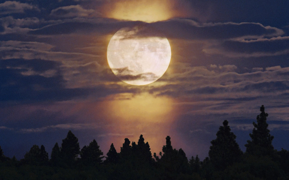撷窗外一抹明亮的月光  让黎明在心灵中默默的守望  安然地期待再次与