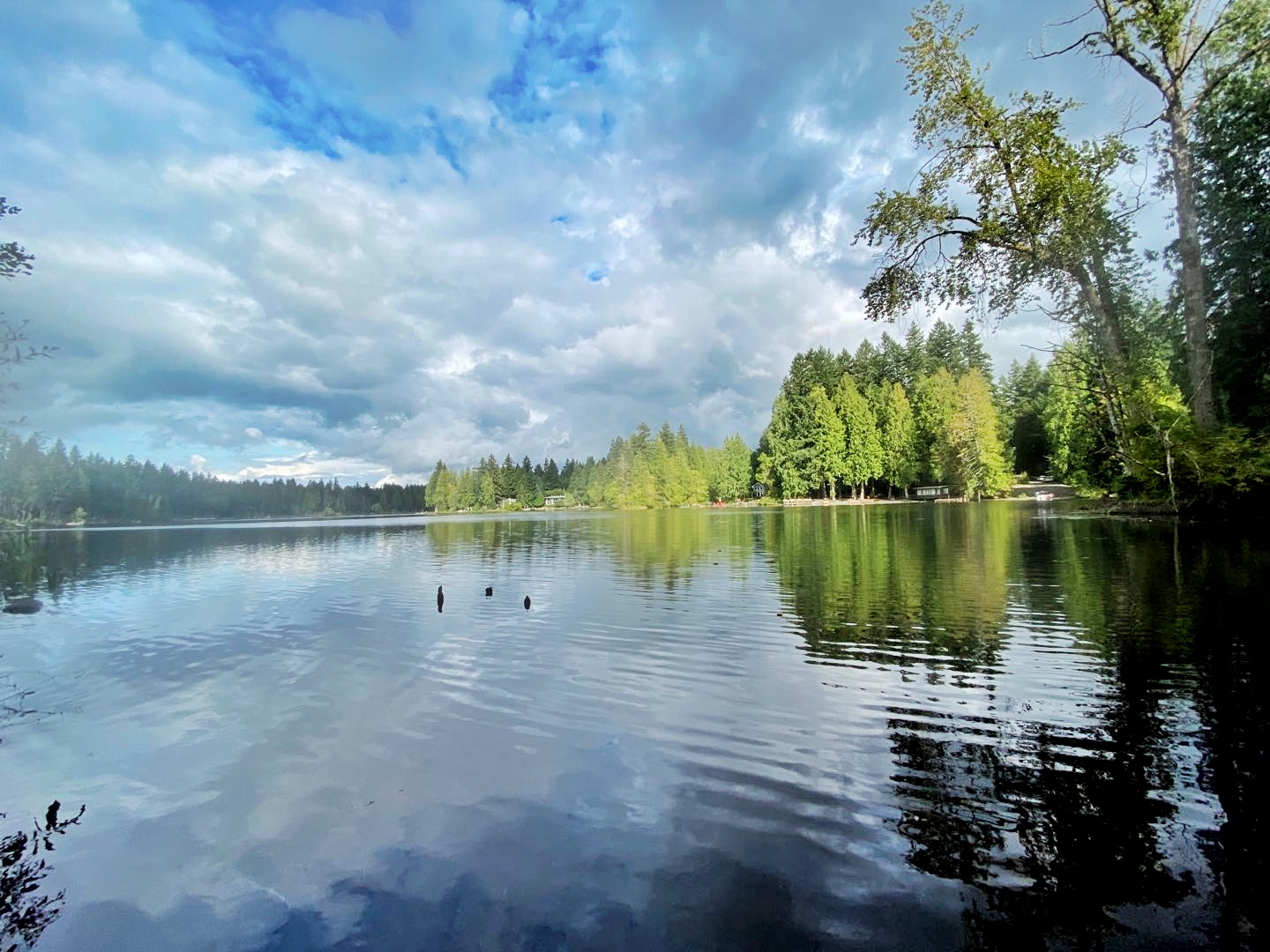 海狸湖beaverlake的美78
