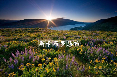 情感之声|你去过斯卡布罗集市吗?|作者:月泊西湄|主播:苏堤&听雨