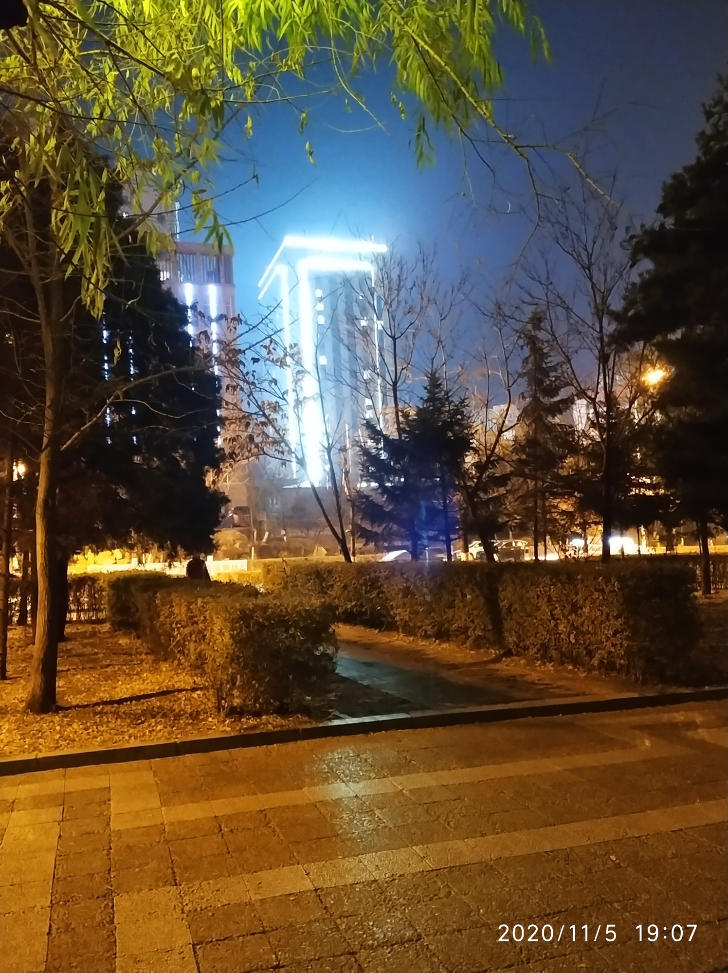 街心花园的小夜景