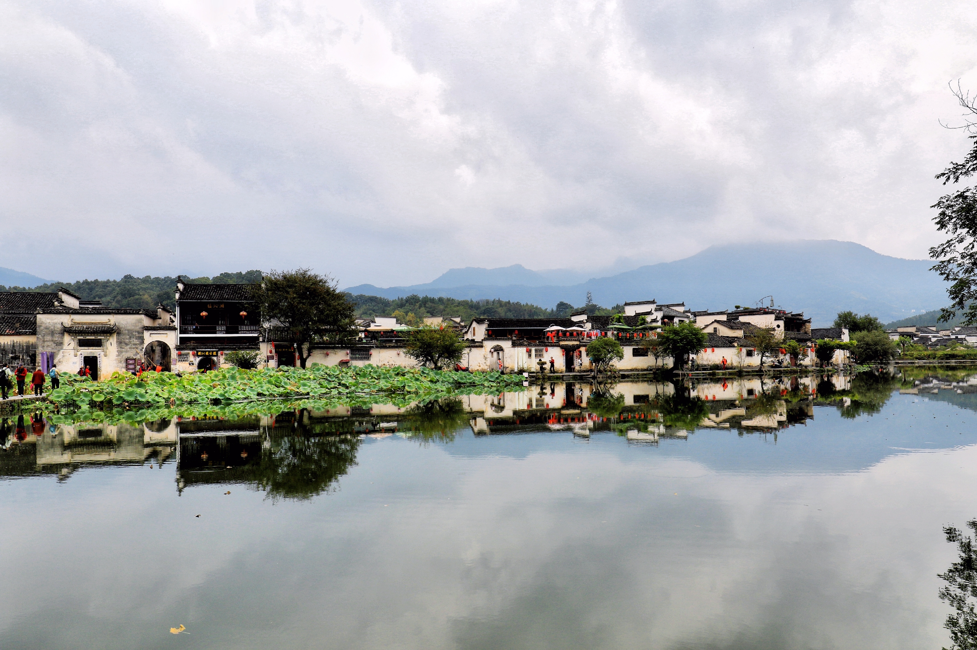 浙江洪村图片