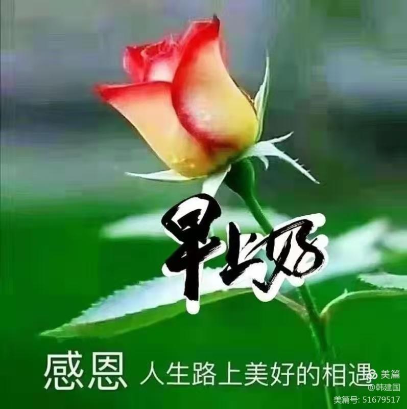 願我們防寒保暖防新冠,健康快樂每一天!早上好!