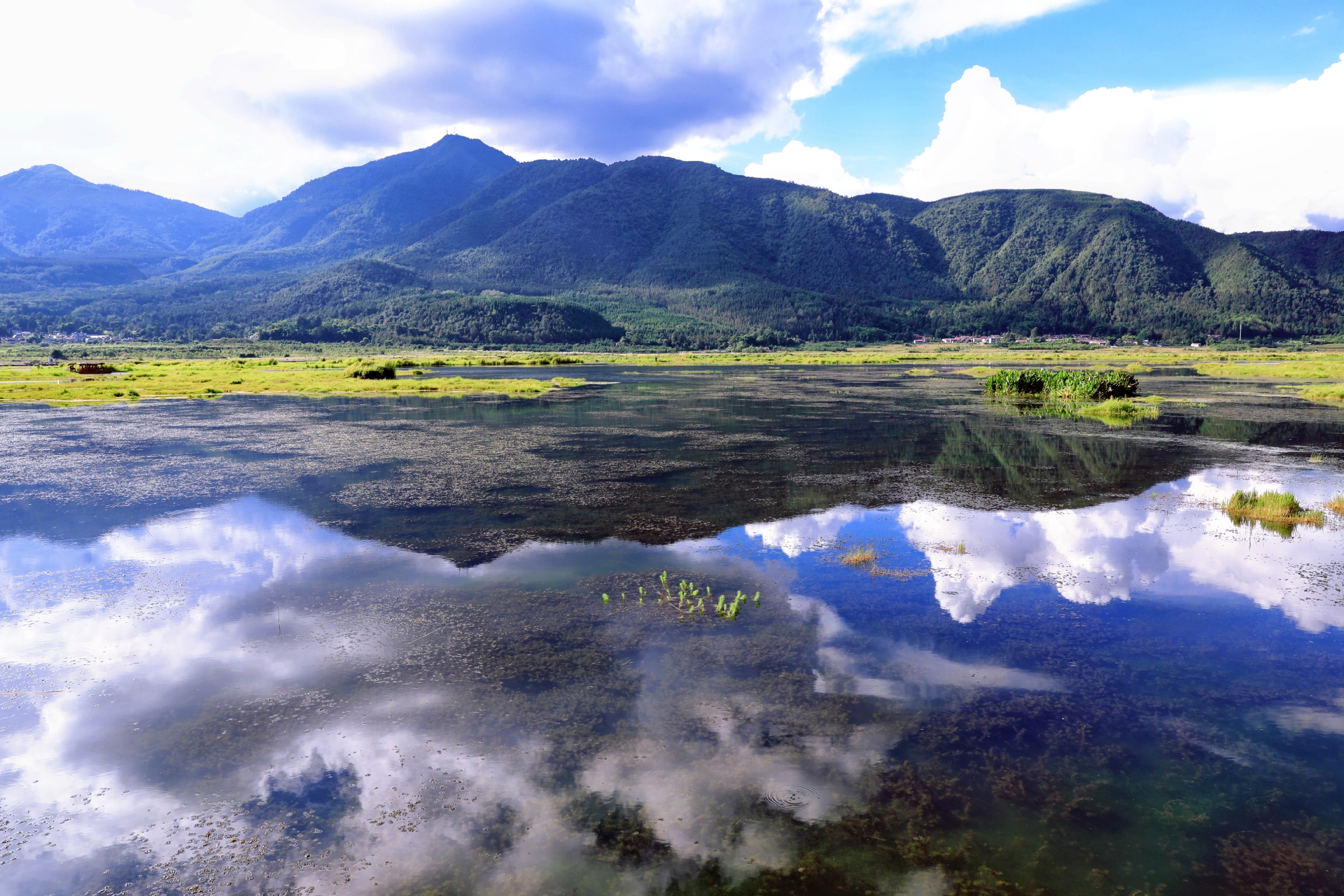 云南腾冲湿地风光