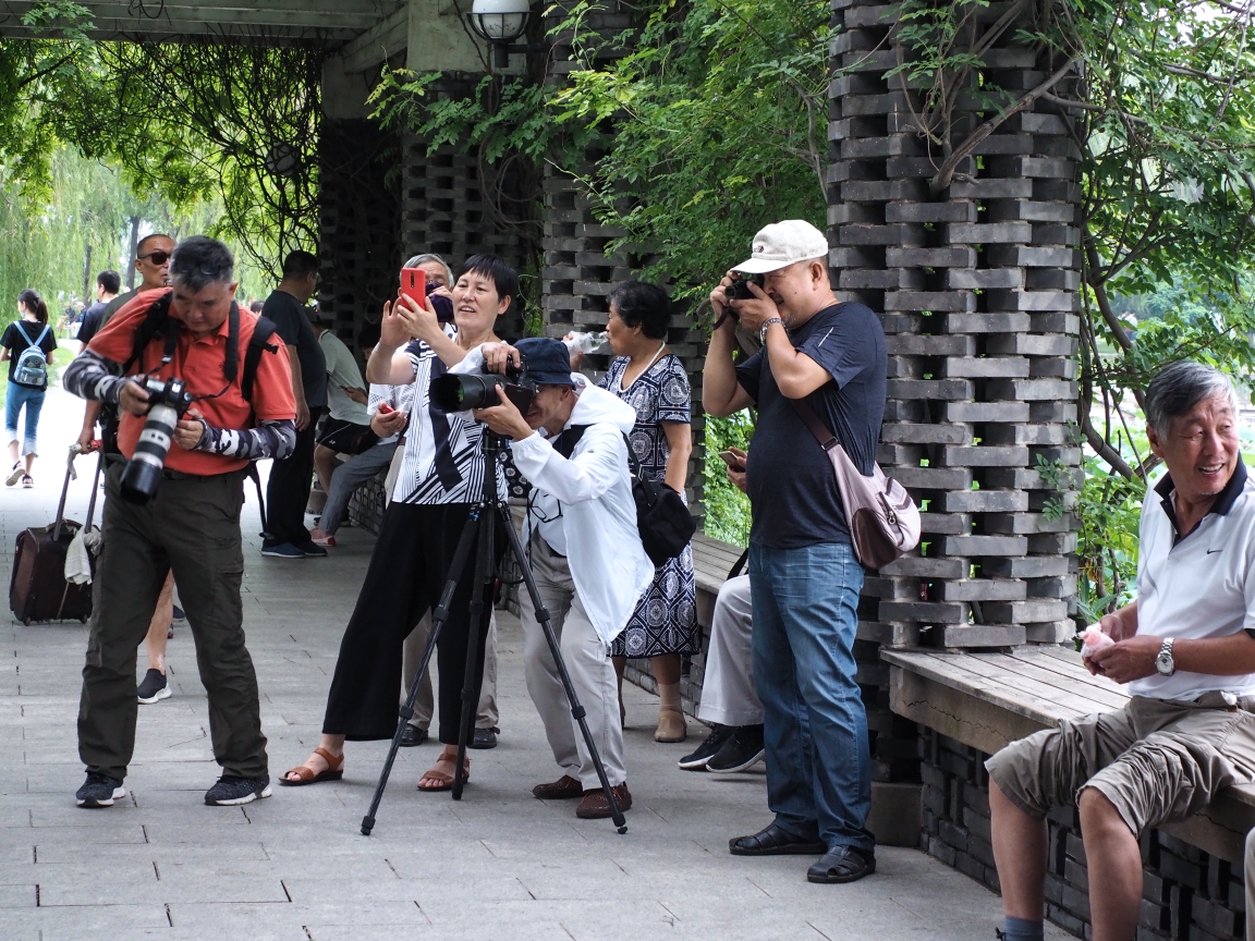 中国最幸福一族!看我们退休后的幸福生活.