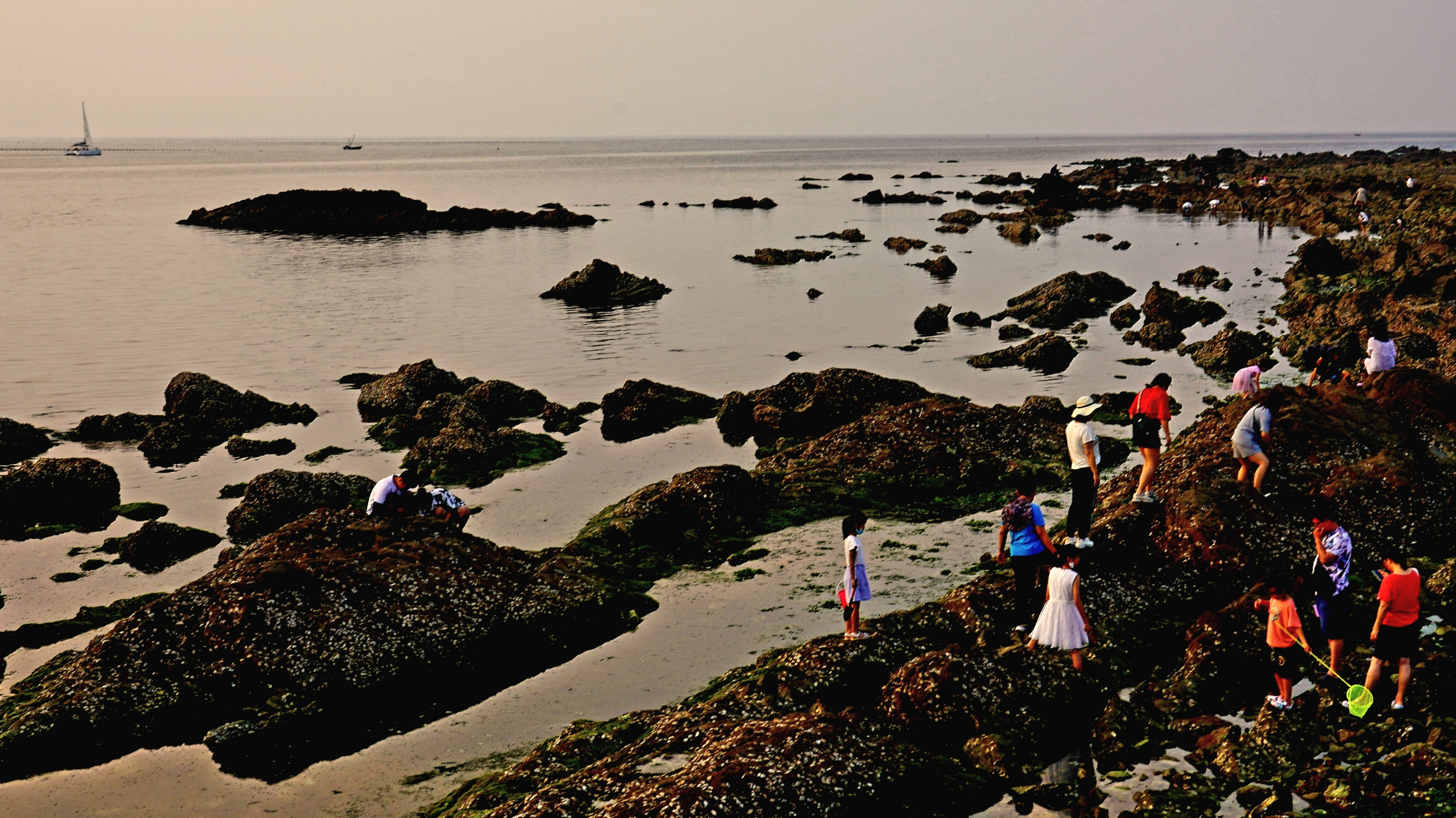 烟台第一海水浴场赶海图片