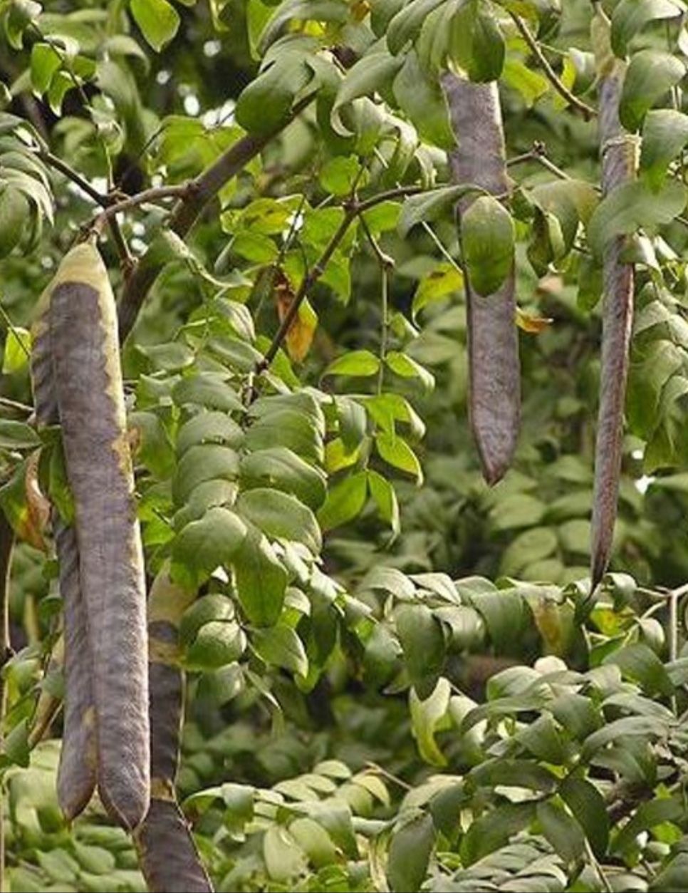 童年的美好时光