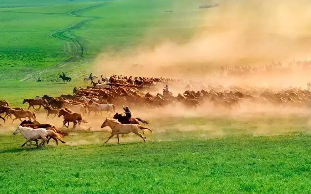 作者阿木古郎:蒙古族,2004年凭借原创诗《天上的草原》夺得第