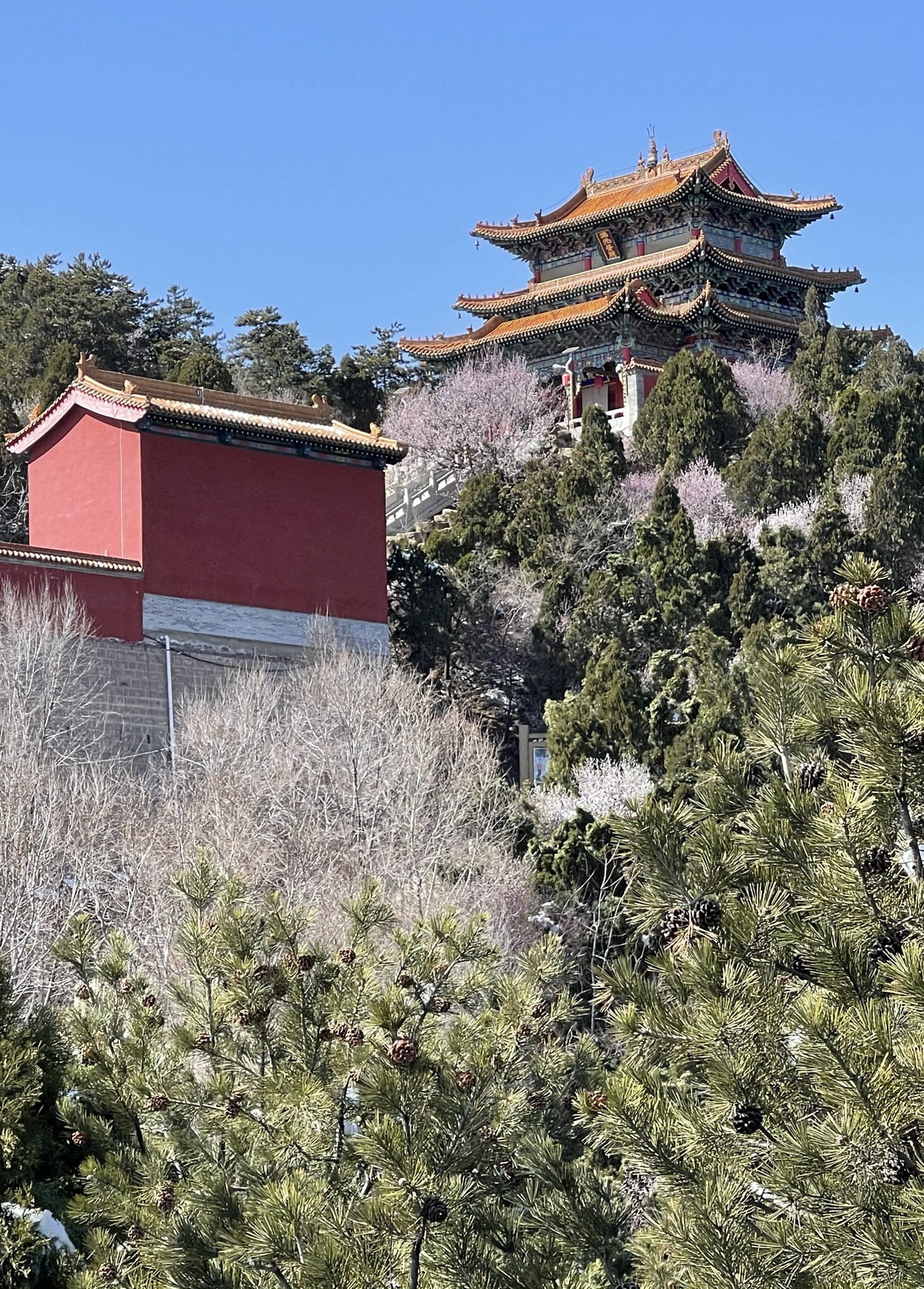 三月春游乌金山